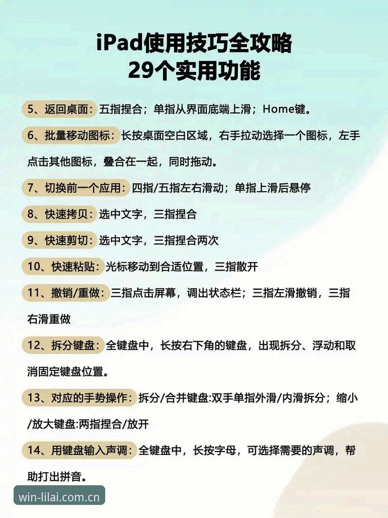 利来APP使用 利来APP使用教程:从下载到畅玩的完整操作指南